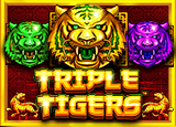 Triple Tigers - pragmaticSLots - Rtp PAUTOTO
